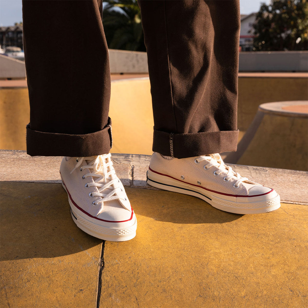 Buy CONVERSE Chuck Taylor All Star 70 Canvas Low Parchment Online Pat Menzies